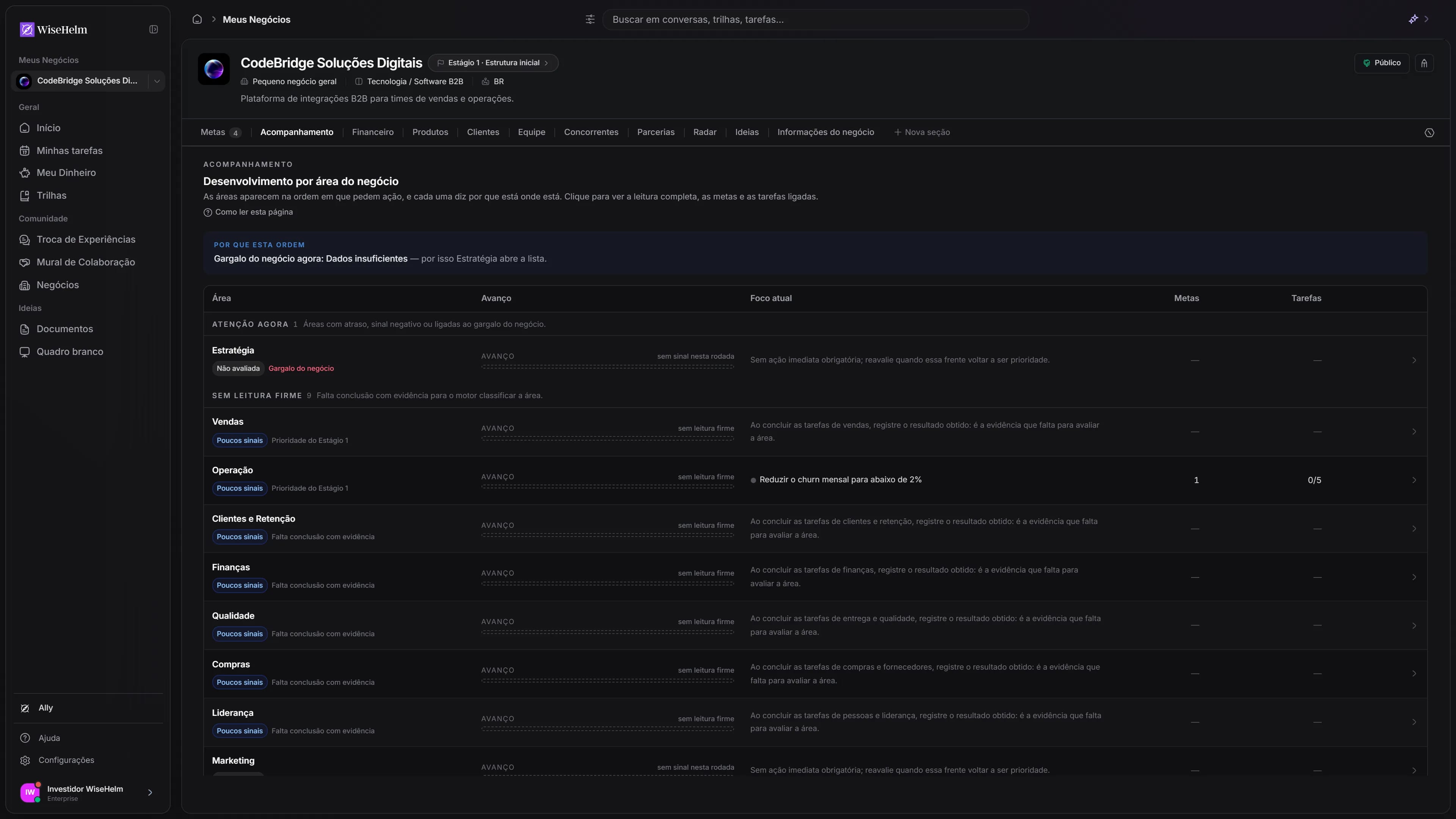 Hub Meus Negócios do WiseHelm com a barra de abas e a visão de acompanhamento