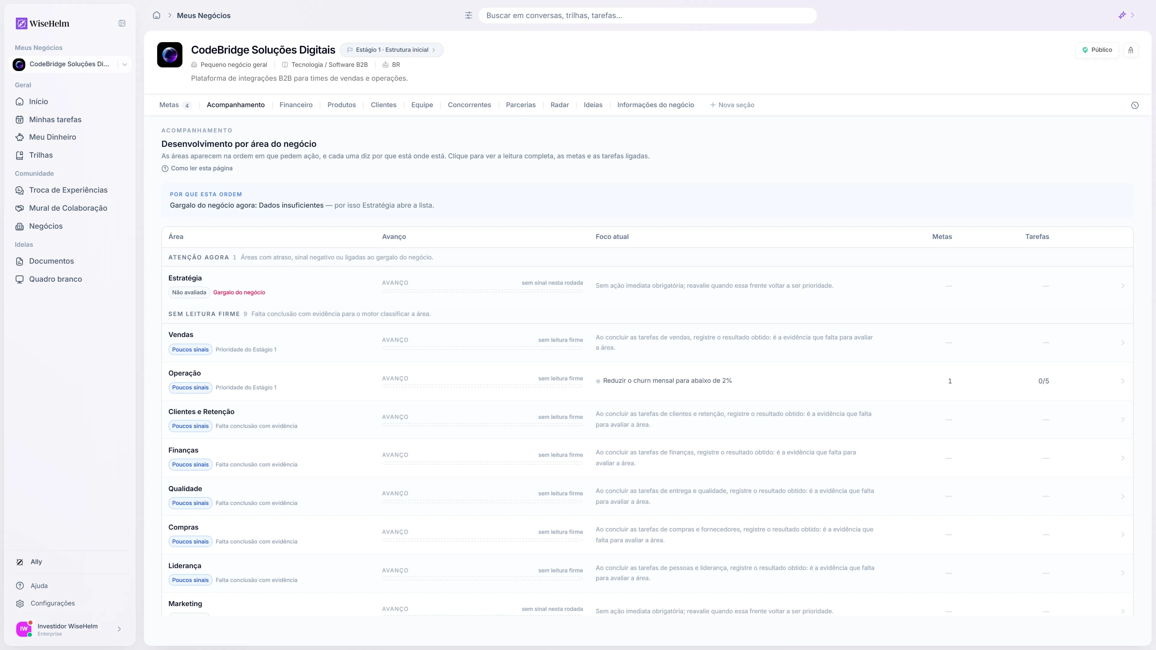 Hub Meus Negócios do WiseHelm com a barra de abas e a visão de acompanhamento